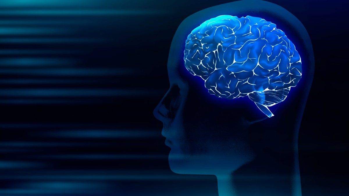 Brain: why do we sometimes forget the things we are going to look for?