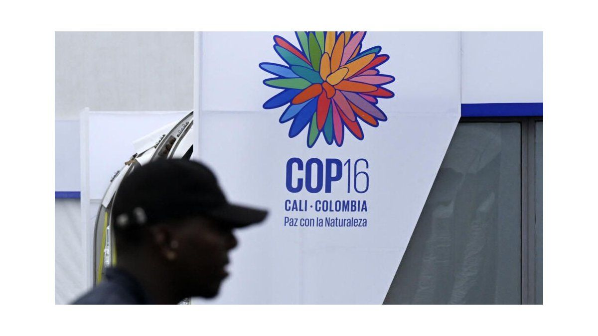 COP16 began: urgent call for biodiversity and concern for marine areas