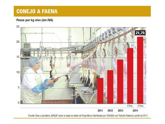SU DINERO PERSONAL: ¿Qué hay de nuevo, conejo?