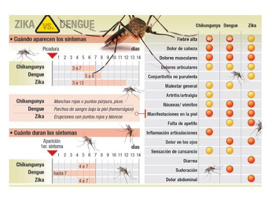 Zika vs Dengue