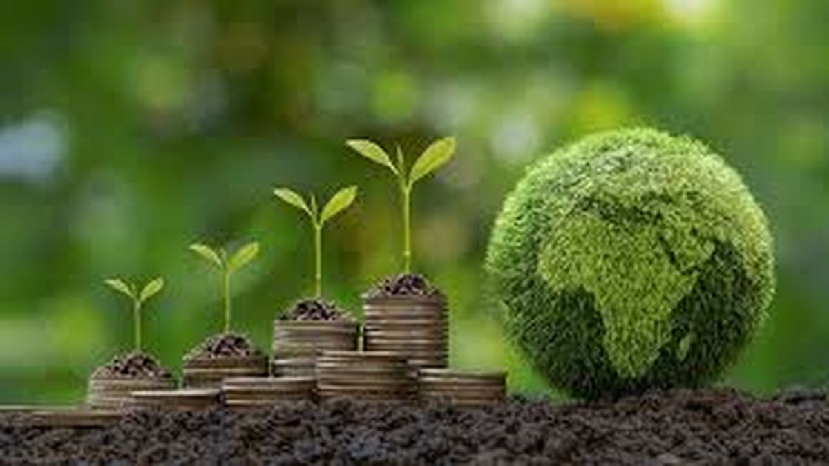 What is it and why is it so important for the environment?