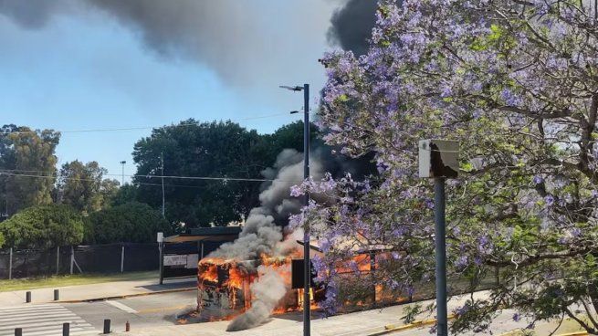 Las autoridades prohibieron que otros vehículos ingresaran al predio por precaución.&nbsp;