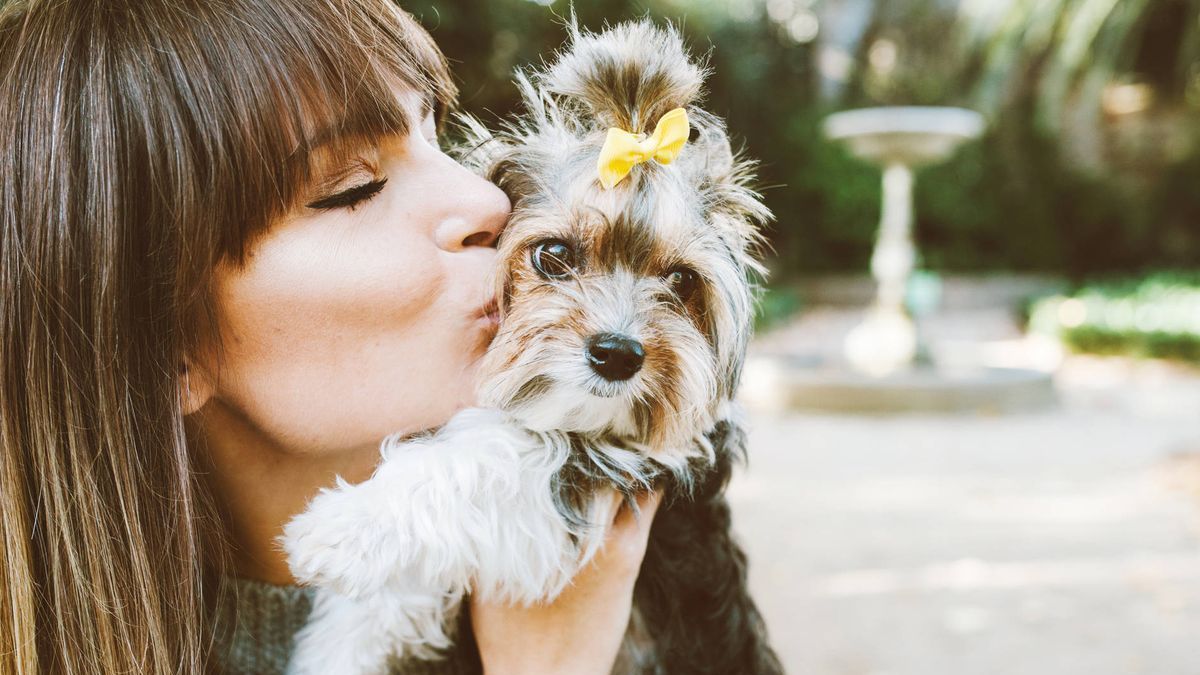 Dogs do not like them to hug them and this explained the experts