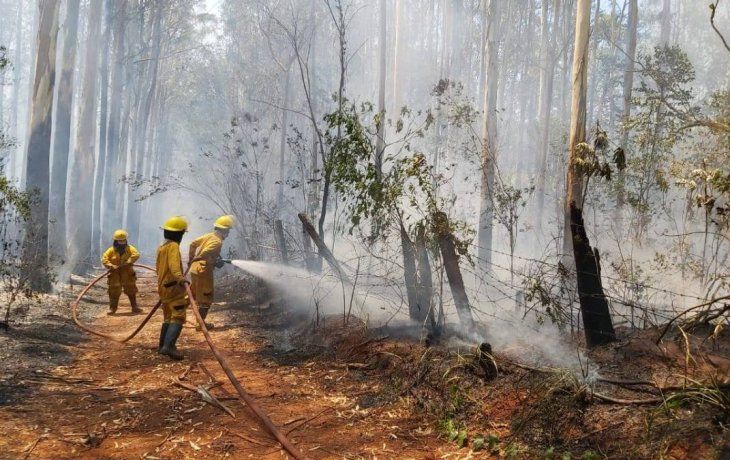 Incendios forestales.
