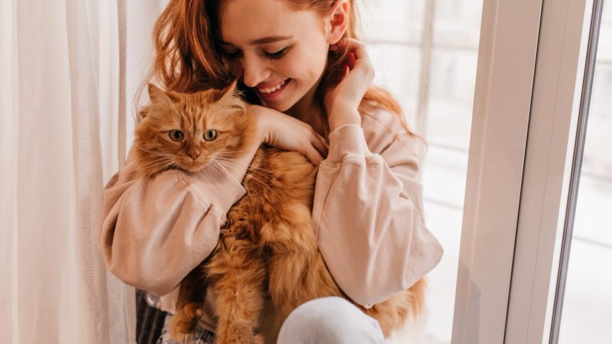 Hug Your Cat Day: why it is celebrated this Tuesday, June 4