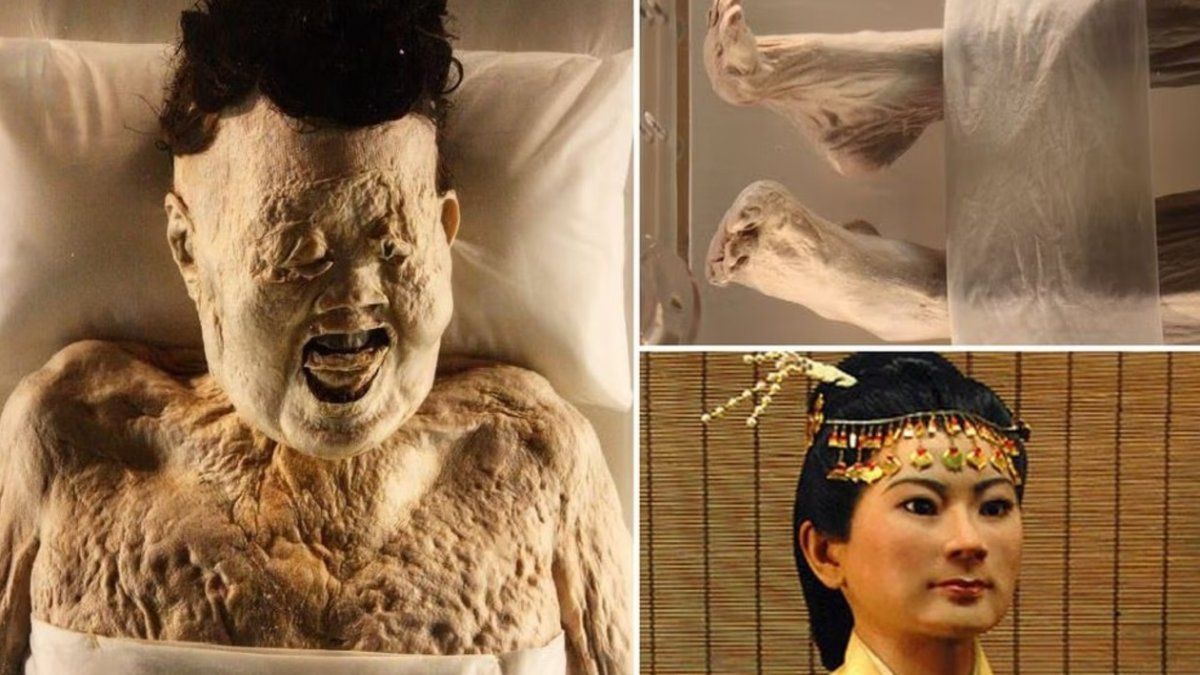 They discover the best preserved mummy in the world, with intact organs and fresh skin
