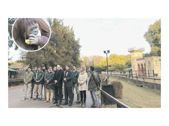 ANUNCIO. Horacio Rodríguez Larreta hizo el anuncio ayer en el zoológico en donde vive la orangutana Sandra.