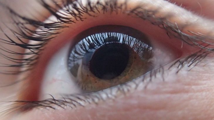 La probabilidad de desarrollar esta enfermedad aumenta con la edad. Por ese motivo, los especialistas recomiendan realizar controles oftalmológicos anuales a partir de los 40 años.