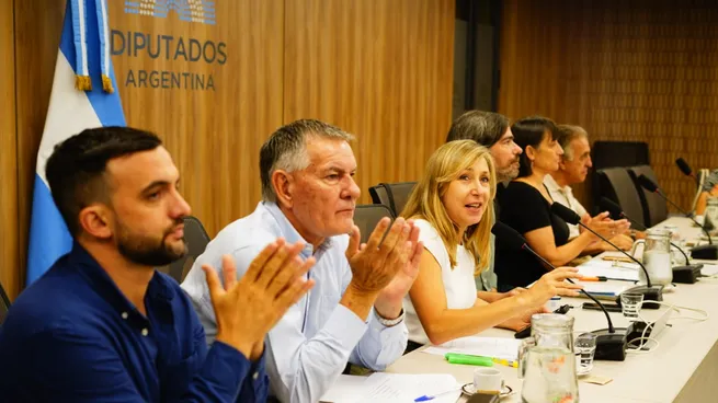 Los diputados Myriam Bregman y Carlos Castagneto, durante la audiencia autoconvocada.
