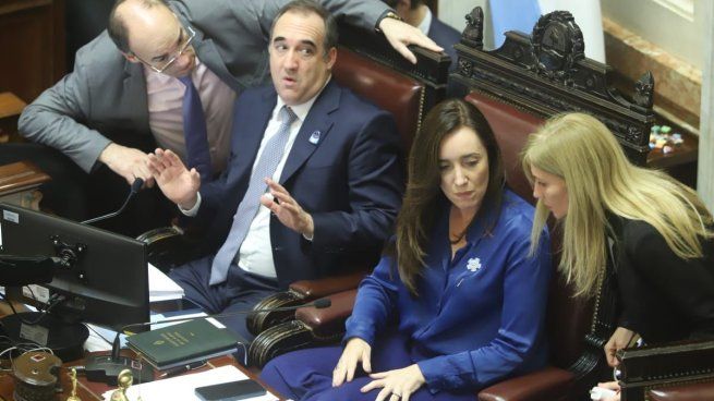 Senado aprobó ley Bases,