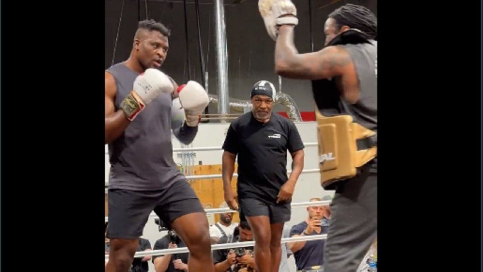 Cómo entrenar boxeo en casa? - El Round Final