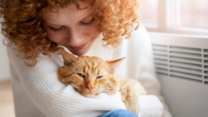 ¿Cuáles son los beneficios de tener un gato como mascota, según el Feng Shui? ¿Cuáles son los beneficios de tener un gato como mascota, según el Feng Shui?