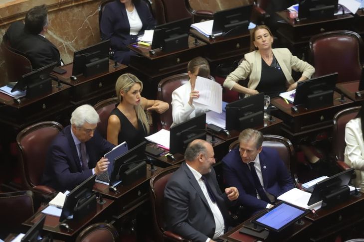 UCR destrabó la aprobación de la reforma laboral con sus 10 votos.