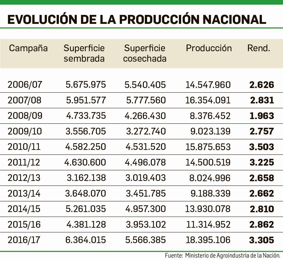 El cultivo de trigo suma área y tecnología en el campo (foto 1)