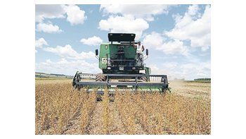 La cosecha de soja 2010/2011 de los principales países productores de Sudamérica en conjunto probablemente caerá a 124,9 millones de toneladas, frente a los 134,12 millones de toneladas correspondientes a la temporada anterior.