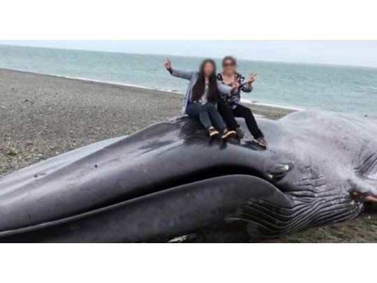 La foto de dos amigas sobre la ballena.