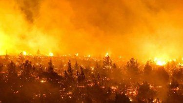 Ya hay 131 muertos por los incendios en Chile y buscan a cientos de desaparecidos