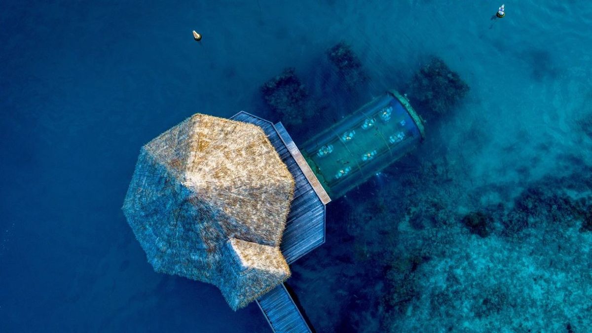 The luxurious hotel that has a submerged bedroom under the sea: this is The Muraka
