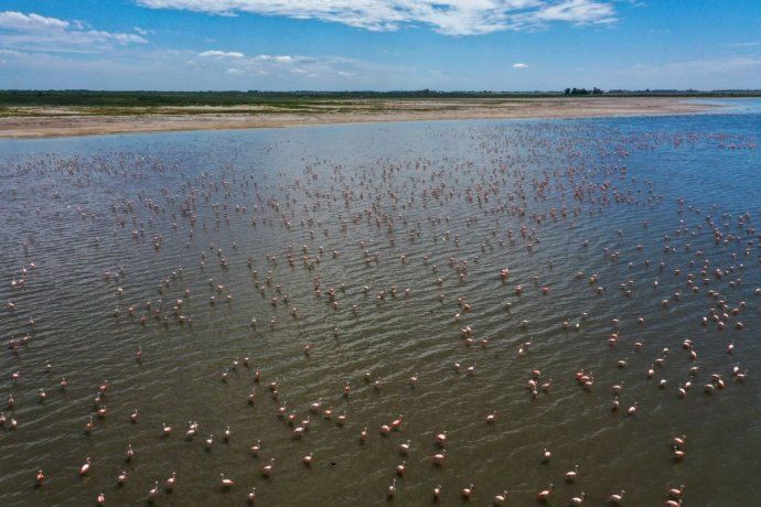 Parque Nacional Ansenuza.