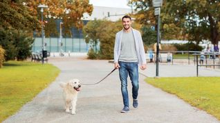 Evitá el estrés de tu mascota.&nbsp;