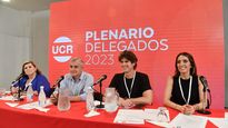 Crece la interna en la UCR: un grupo de referentes respaldó a Lousteau tras su voto en el Senado