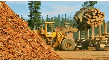 La industria forestal reanuda actividad con protocolos de prevención por el coronavirus.