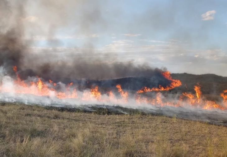 Cerca de cien bomberos voluntarios de 10 localidades participaron del operativo para contener el avance de las llamas.