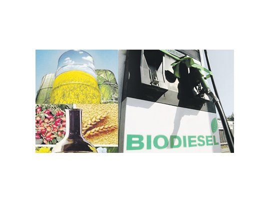 El crecimiento de la producción mundial de biodiésel comineza a debilitarse por los precios récord de la soja, que hacen poco atractivo el negocio del biocombustible.