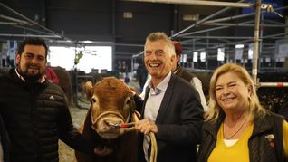 para macri, el gobierno de alberto fernandez es el peor desde la vuelta de la democracia
