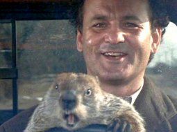 Bill Murray interpreta a Phil Connors en el film Groundhog Day (Atrapado en el tiempo en España, Hechizo del tiempo en Hispanoamérica y El día de la marmota en Chile, Argentina, México y Venezuela)