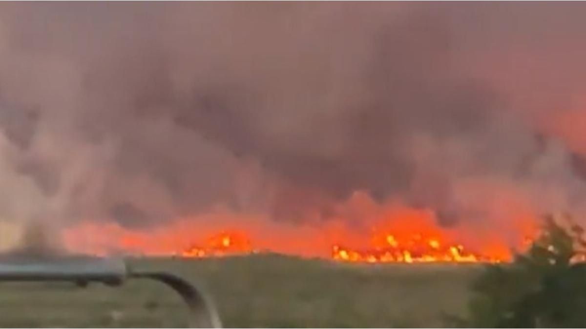 The fires continue in Campana and complicate traffic on the Zárate-Brazo Largo bridge