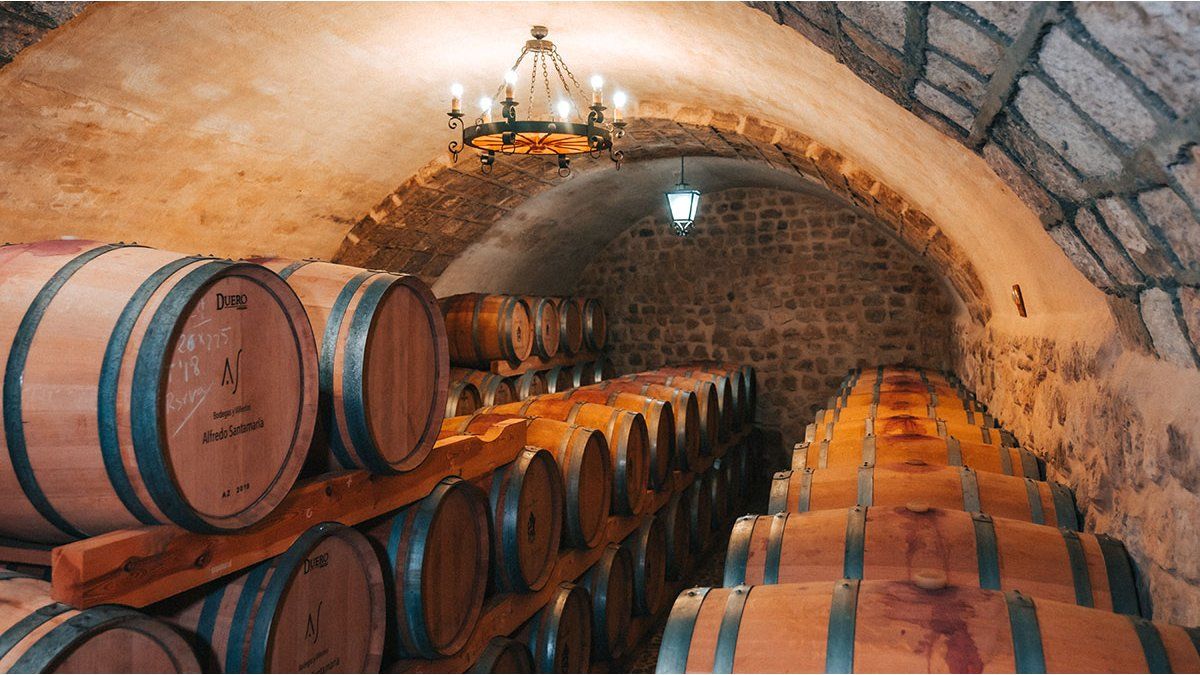 Key for viticulture: they eliminate a requirement for the 2025 harvest