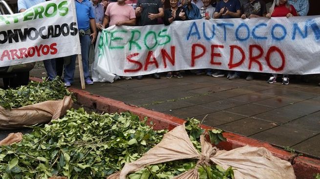 La crisis no solo afecta a los productores, sino también a más de 18.000 trabajadores de la cadena yerbatera.