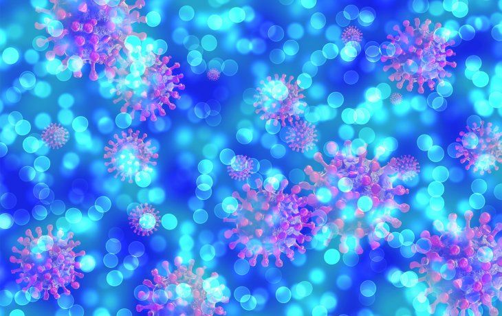 La pandemia, cuyo origen se ha relacionado al pasaje de un virus desde los animales a los seres humanos, se identificó inicialmente en el Mercado de Mariscos de Huanan de Wuhan en diciembre de 2019.