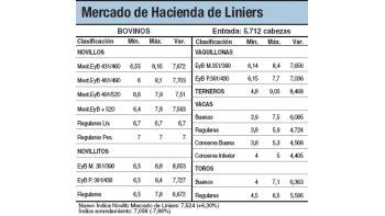 Liniers registró máximo histórico