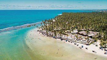 Paraíso. Palmeras, cocoteros y mar conforman este edén.&nbsp;