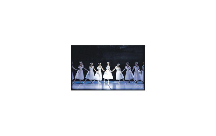 Clásico romántico, volvió el ballet “La sylphide” al Argentino de La Plata, en reposición de Sabrina Streiff sobre la coreografía de Mario Galizzi.