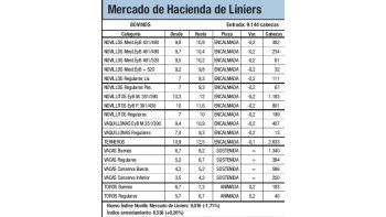 Novillos cayeron entre 1,9% y 3%