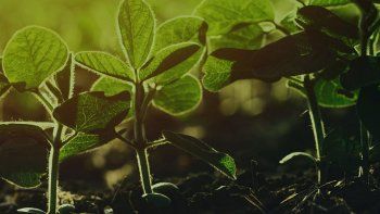 Bioceres: un comienzo auspicioso para el año fiscal 2023.