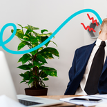 Una transición laboral ordenada debe ser acompañada por un profesional que maneje las emociones. Una transición laboral ordenada debe ser acompañada por un profesional que maneje las emociones.