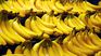 The banana has many benefits when consuming it daily but some risks must also be taken into account. The banana has many benefits when consuming it daily but some risks must also be taken into account.