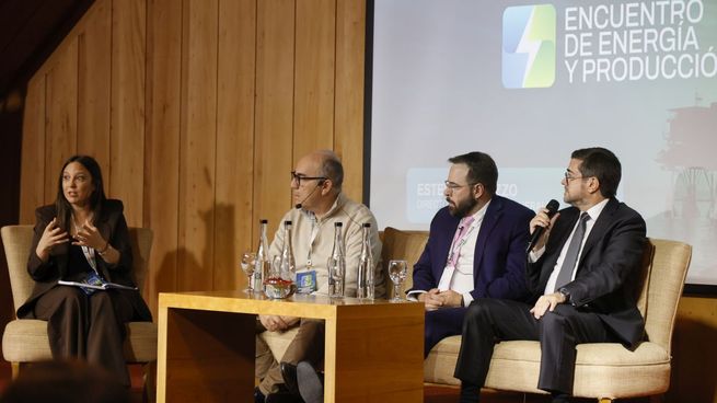 Panel Argentina-Brasil: el desafío de la integración regional energética.