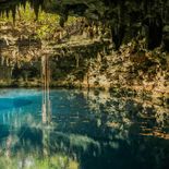 Descube Cenotillo en Yucatán. Descube Cenotillo en Yucatán.