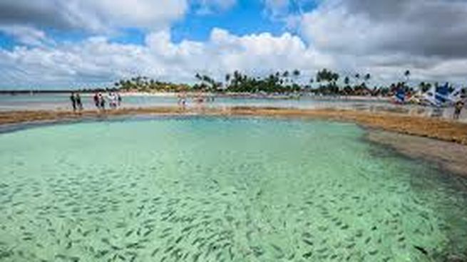 Toda la información necesaria para viajar a Porto de Galinhas en febrero