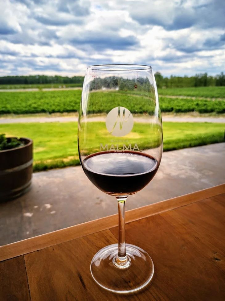 Desde San Patricio del Chañar, Malma impulsa el posicionamiento internacional de la Patagonia vitivinícola con vinos de alta gama y una fuerte identidad regional. Desde San Patricio del Chañar, Malma impulsa el posicionamiento internacional de la Patagonia vitivinícola con vinos de alta gama y una fuerte identidad regional.