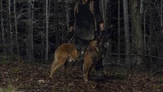 Norman Reedus y la vuelta de The Walking Dead: Nunca pensé que iba a durar tanto en el programa