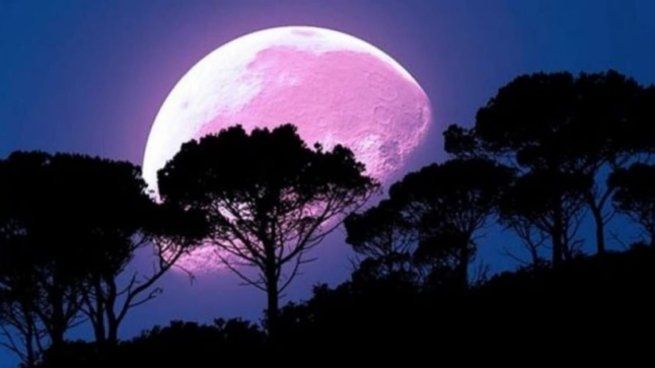La Luna Ros 2025 se debe así por el nombre que le dieron nativos de América del Norte.