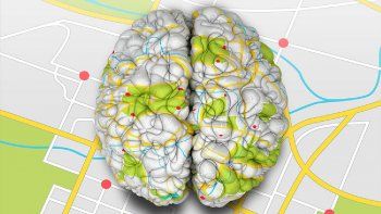 que son las oscilaciones theta, el gps del cerebro