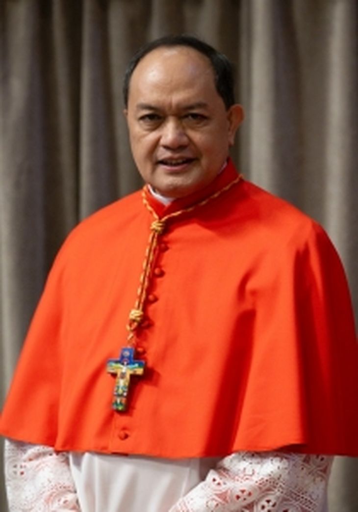 David es uno de los tantos cardenales nombrados por el argentino. David es uno de los tantos cardenales nombrados por el argentino.