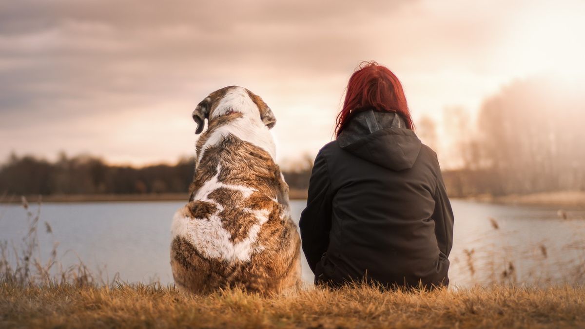 Can pets save our brain? Can pets save our brain?
